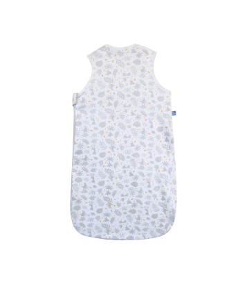 GIGOTEUSE ETE 0/6M RAILLEY Sucre Orge