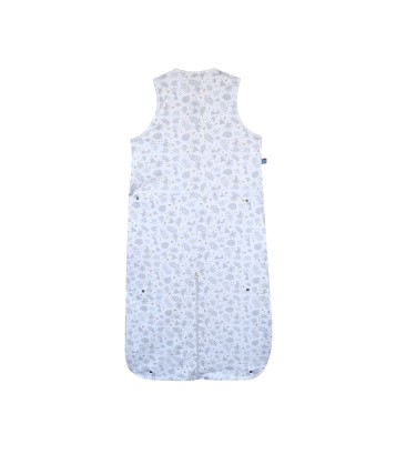 GIGOTEUSE ETE 6/36M RAJENDRA Sucre Orge