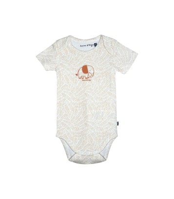 LOT DE 3 BODIES RIDAH Sucre Orge