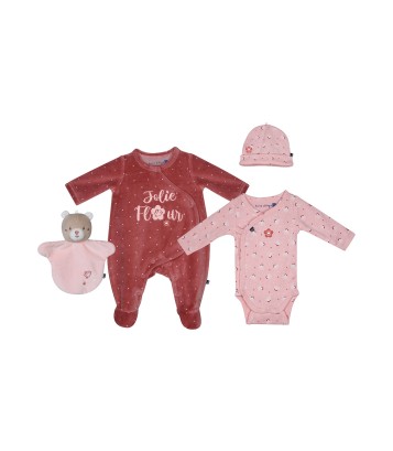 SET NAISSANCE PIMPRENELLE Sucre Orge