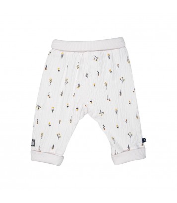 BODY LEGGING PHILINE Sucre Orge