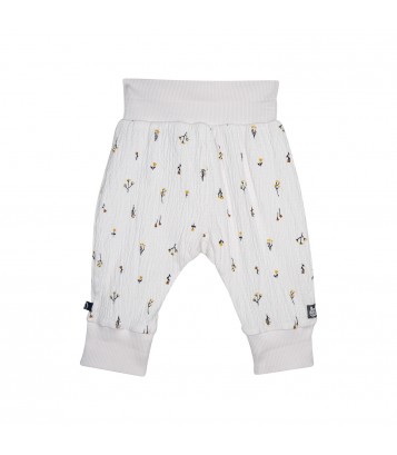 BODY LEGGING PHILINE Sucre Orge