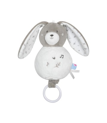 SUJET MUSICAL LAPIN ROBB Sucre Orge