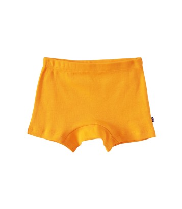 LOT DE 2 BOXERS DALI Sucre Orge