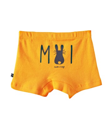 LOT DE 2 BOXERS DALI Sucre Orge