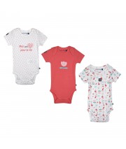 LOT DE 3 BODIES NORDINE Sucre Orge