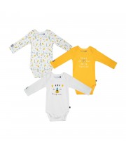 LOT DE 3 BODIES GRADY Sucre Orge