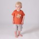 TSHIRT BERMUDA NESTOR Sucre Orge