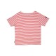 TEE SHIRT GIOVANY Sucre Orge