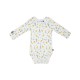 LOT DE 3 BODIES GRADY Sucre Orge